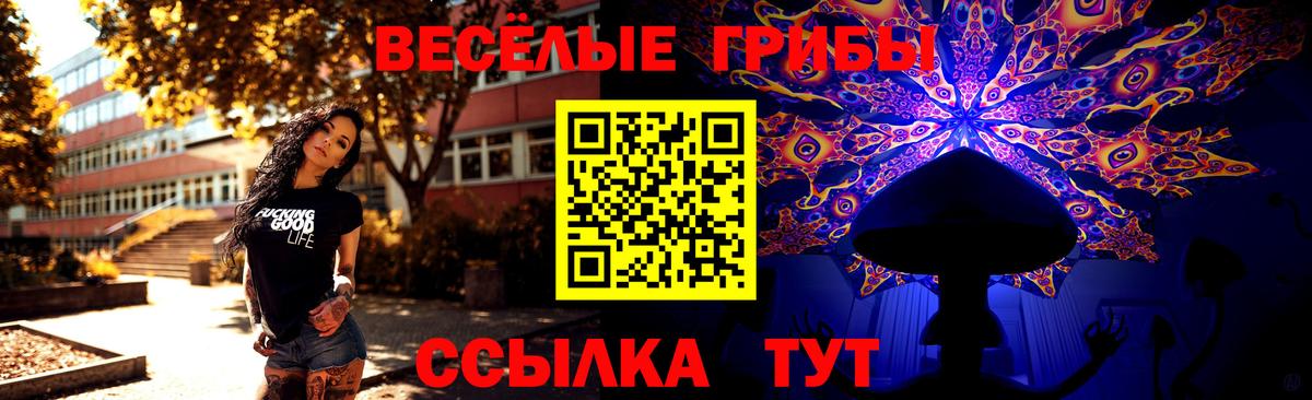 купить наркотики цена  Псилоцибиновые грибы мухоморы  Вход с VPN  Якутск 